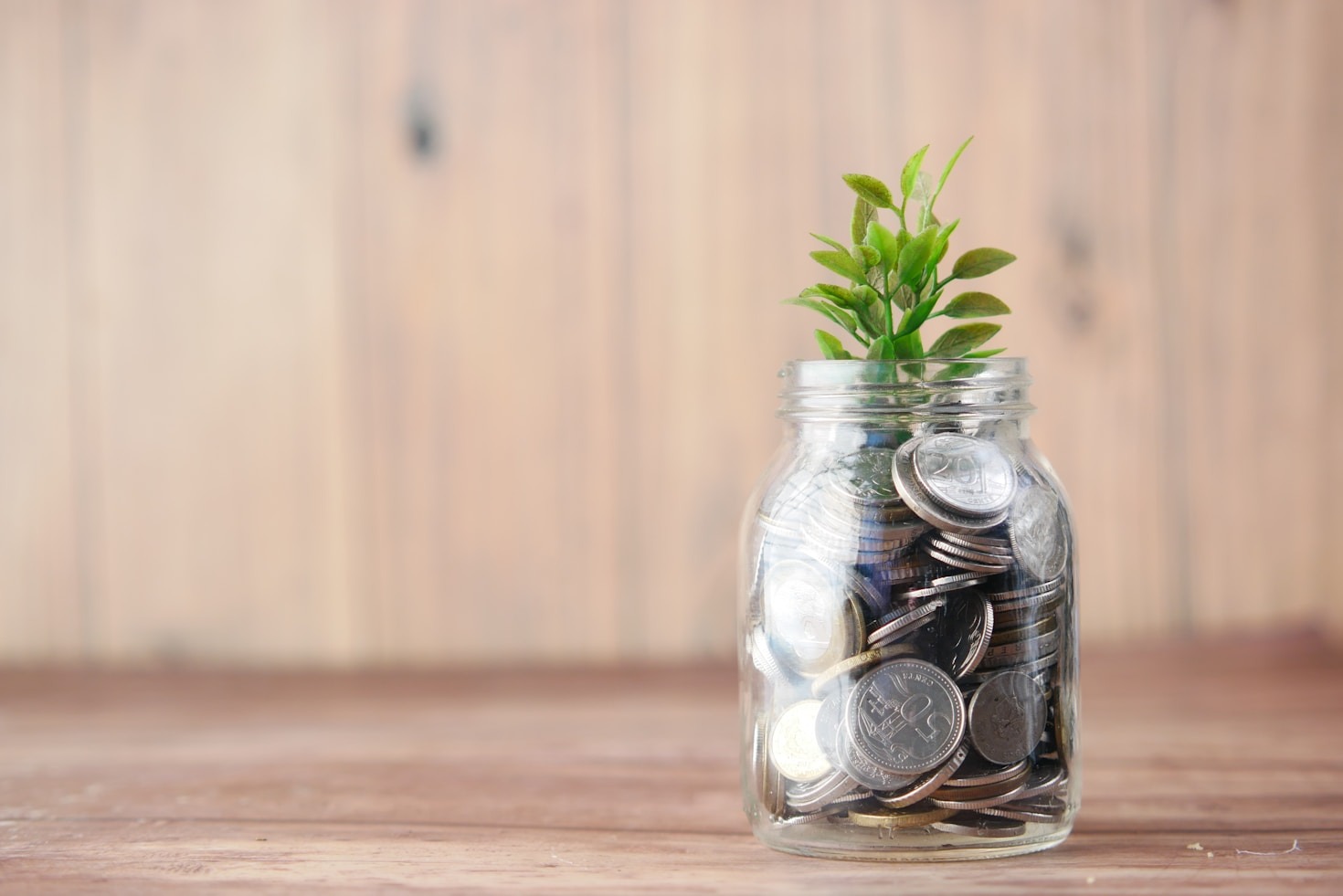 How Ethical Divestment Can Shape the Future